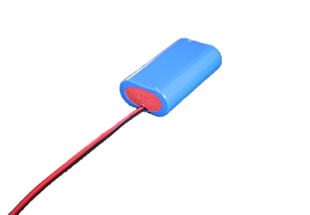 Noodverlichting Pack LiFeP04 SBS 6.4V 2200mAh