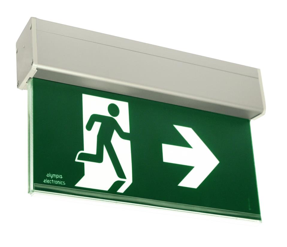 ZLD PRO -20/ LF Noodverlichting  + 10 Jarige batterij