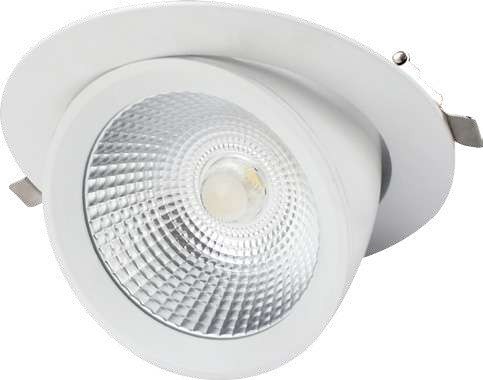 Cardanische Downlighter SLG51 D157 3000K 20W  voorzien van Noodverlichting + Autotest